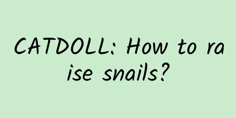 CATDOLL: How to raise snails?