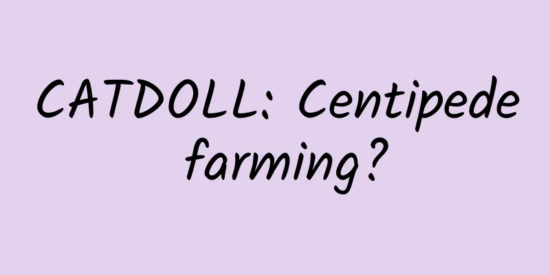 CATDOLL: Centipede farming?