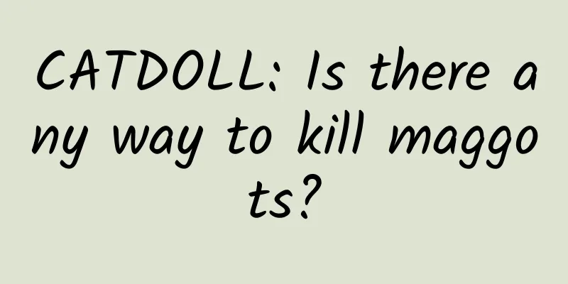 CATDOLL: Is there any way to kill maggots?