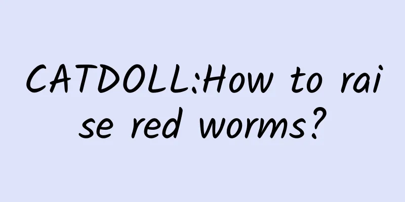 CATDOLL:How to raise red worms?