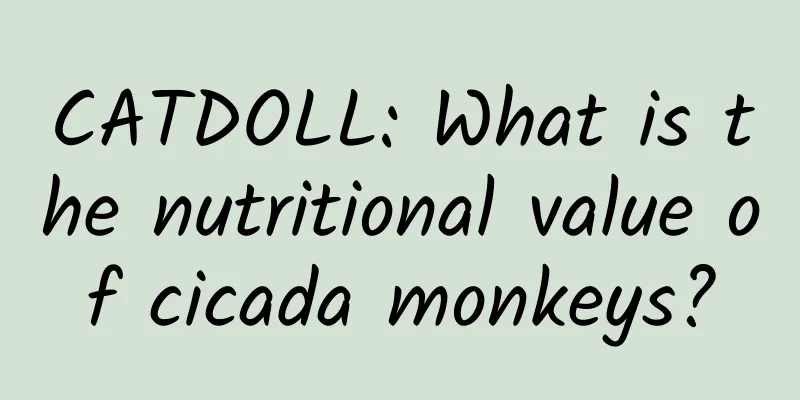 CATDOLL: What is the nutritional value of cicada monkeys?