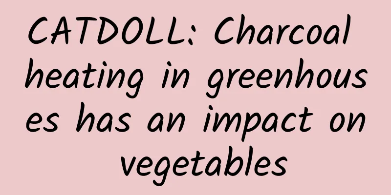 CATDOLL: Charcoal heating in greenhouses has an impact on vegetables