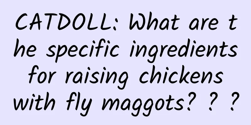 CATDOLL: What are the specific ingredients for raising chickens with fly maggots? ? ?