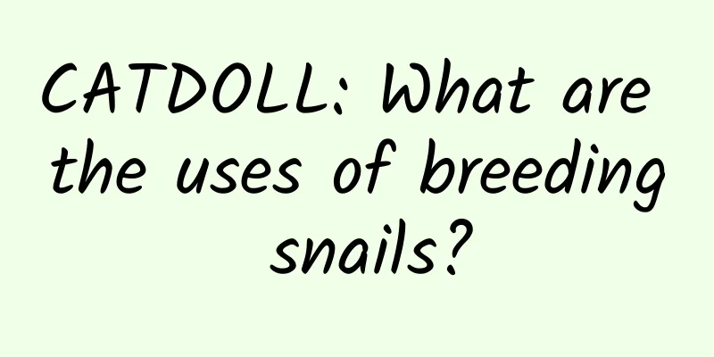 CATDOLL: What are the uses of breeding snails?