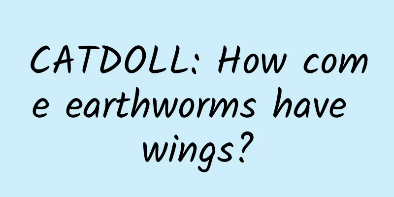 CATDOLL: How come earthworms have wings?