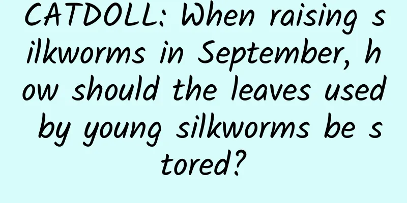 CATDOLL: When raising silkworms in September, how should the leaves used by young silkworms be stored?