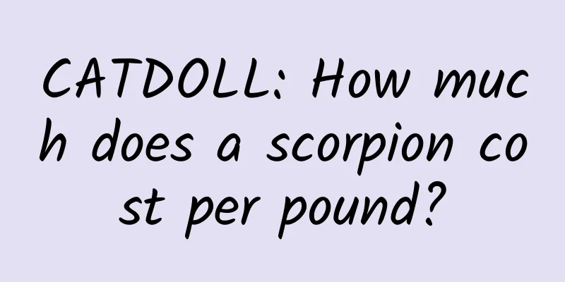 CATDOLL: How much does a scorpion cost per pound?