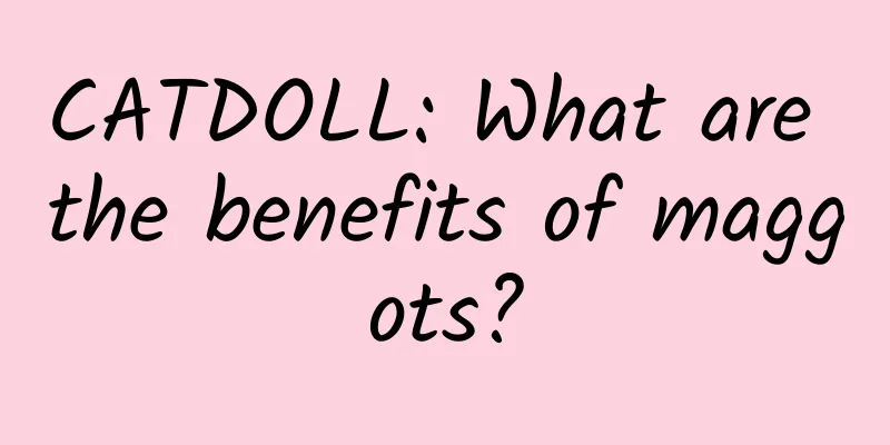 CATDOLL: What are the benefits of maggots?