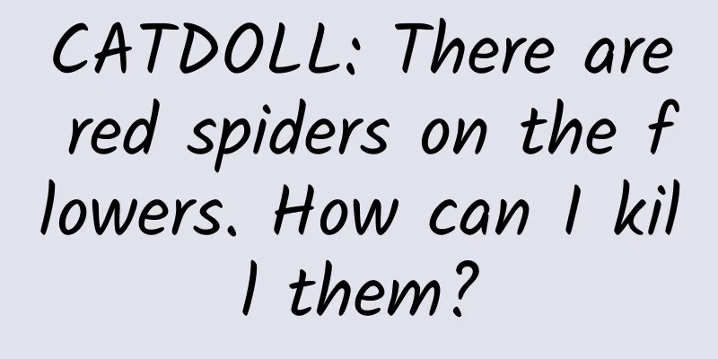 CATDOLL: There are red spiders on the flowers. How can I kill them?