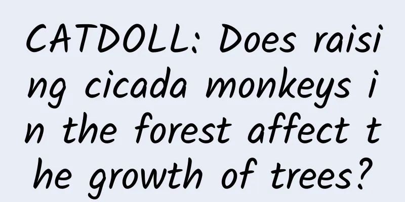 CATDOLL: Does raising cicada monkeys in the forest affect the growth of trees?