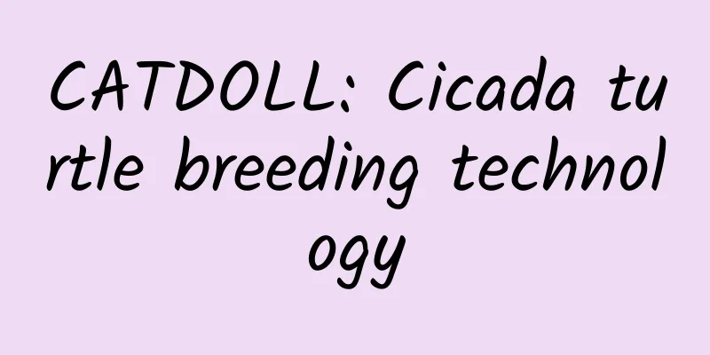 CATDOLL: Cicada turtle breeding technology
