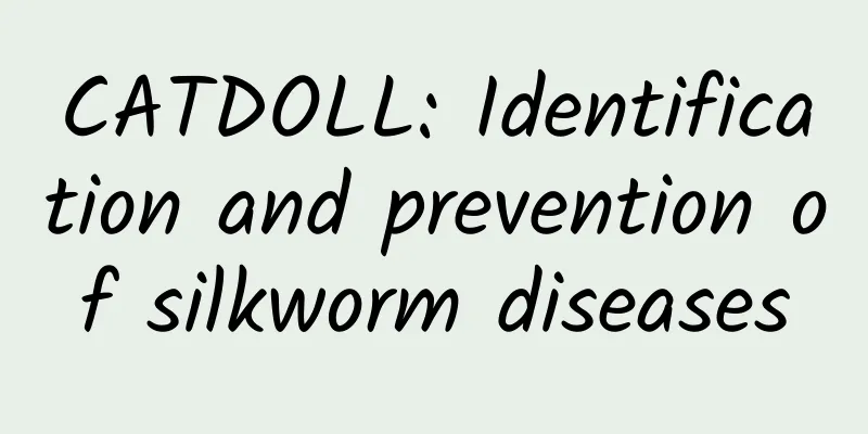 CATDOLL: Identification and prevention of silkworm diseases