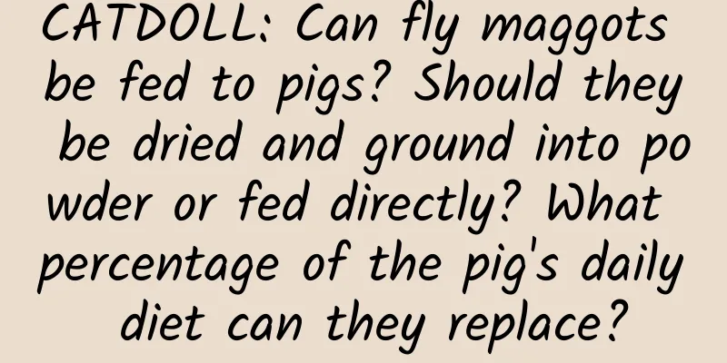 CATDOLL: Can fly maggots be fed to pigs? Should they be dried and ground into powder or fed directly? What percentage of the pig's daily diet can they replace?