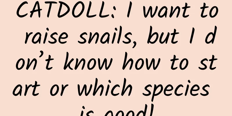 CATDOLL: I want to raise snails, but I don’t know how to start or which species is good!