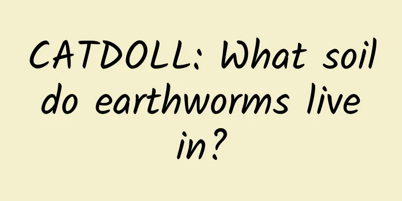 CATDOLL: What soil do earthworms live in?