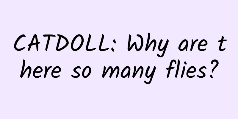 CATDOLL: Why are there so many flies?
