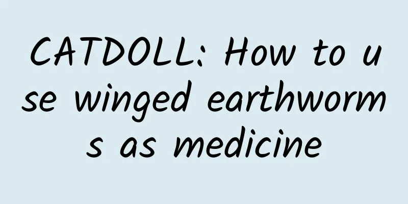 CATDOLL: How to use winged earthworms as medicine