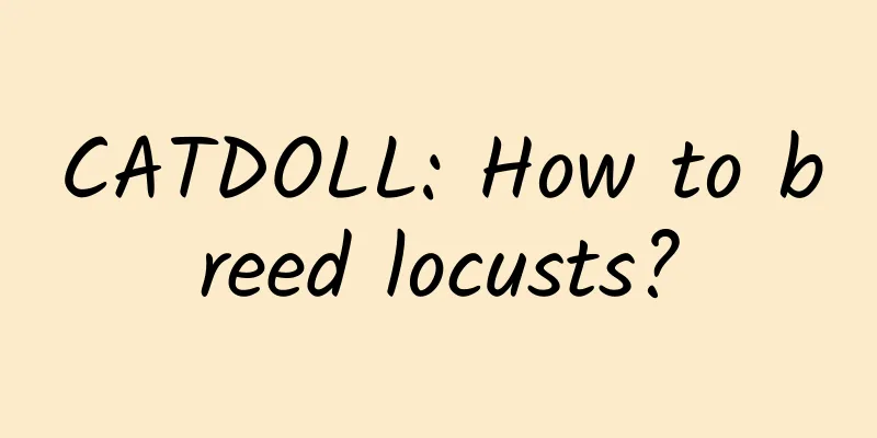 CATDOLL: How to breed locusts?