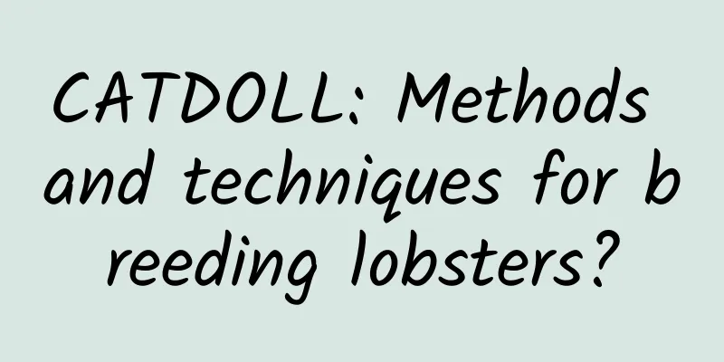 CATDOLL: Methods and techniques for breeding lobsters?