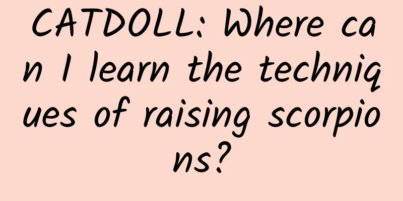 CATDOLL: Where can I learn the techniques of raising scorpions?