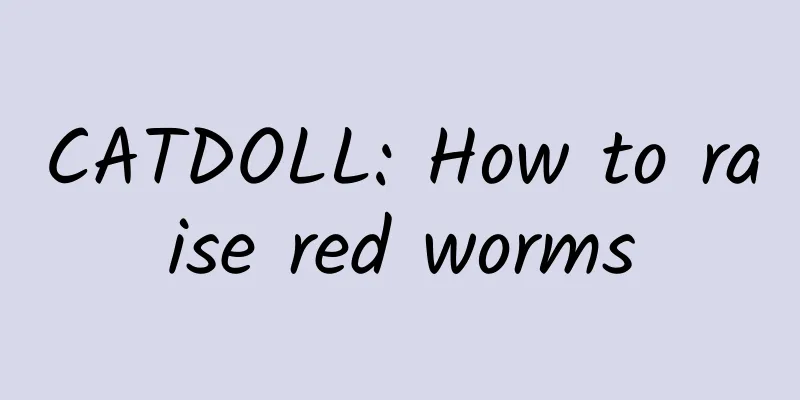 CATDOLL: How to raise red worms