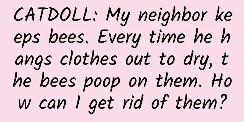 CATDOLL: My neighbor keeps bees. Every time he hangs clothes out to dry, the bees poop on them. How can I get rid of them?