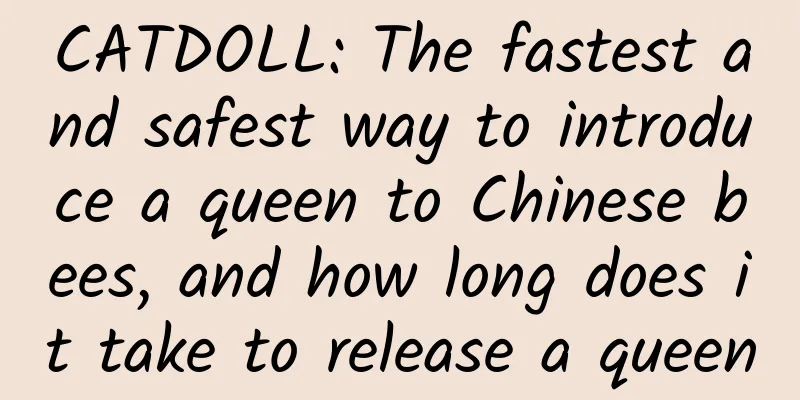 CATDOLL: The fastest and safest way to introduce a queen to Chinese bees, and how long does it take to release a queen