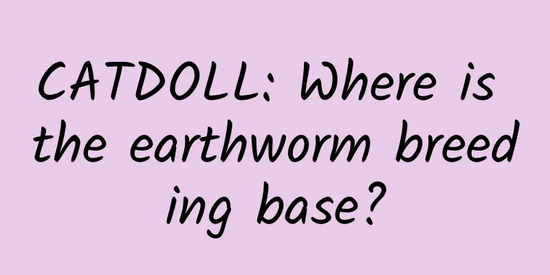 CATDOLL: Where is the earthworm breeding base?
