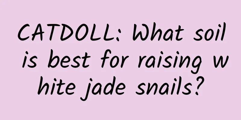 CATDOLL: What soil is best for raising white jade snails?