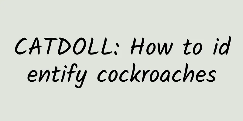 CATDOLL: How to identify cockroaches