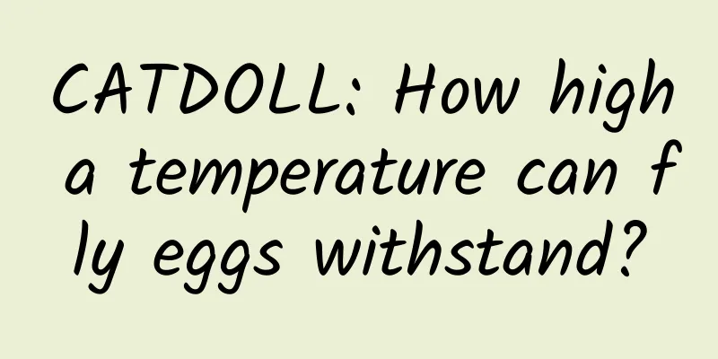 CATDOLL: How high a temperature can fly eggs withstand?