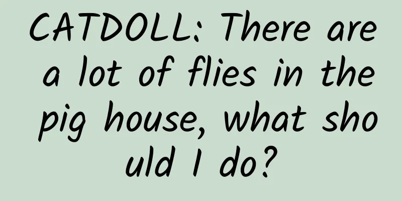 CATDOLL: There are a lot of flies in the pig house, what should I do?
