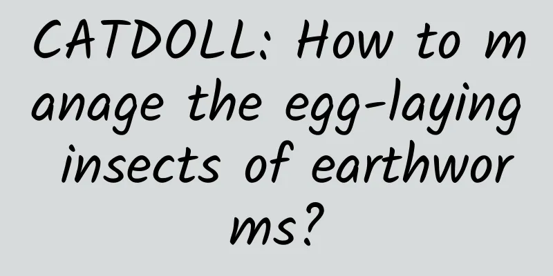 CATDOLL: How to manage the egg-laying insects of earthworms?