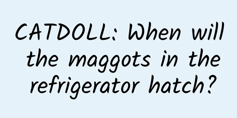 CATDOLL: When will the maggots in the refrigerator hatch?