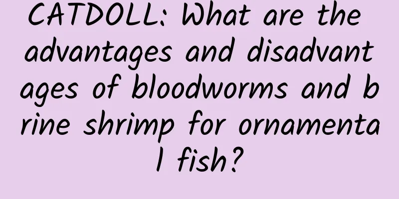 CATDOLL: What are the advantages and disadvantages of bloodworms and brine shrimp for ornamental fish?