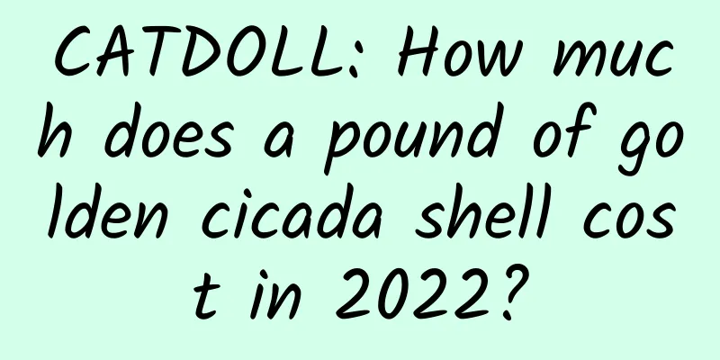 CATDOLL: How much does a pound of golden cicada shell cost in 2022?