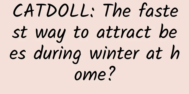 CATDOLL: The fastest way to attract bees during winter at home?