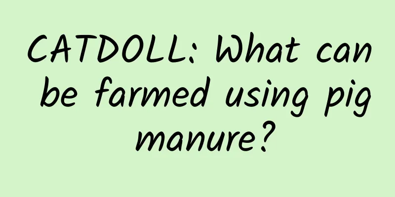 CATDOLL: What can be farmed using pig manure?