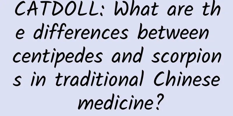 CATDOLL: What are the differences between centipedes and scorpions in traditional Chinese medicine?