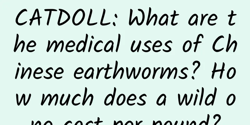 CATDOLL: What are the medical uses of Chinese earthworms? How much does a wild one cost per pound?