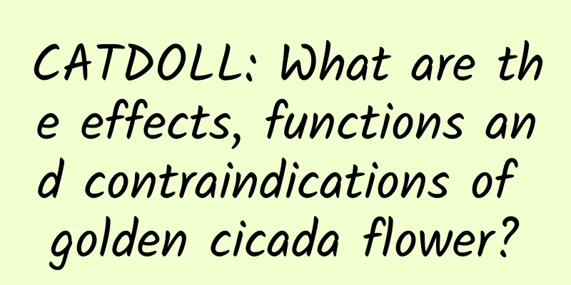 CATDOLL: What are the effects, functions and contraindications of golden cicada flower?