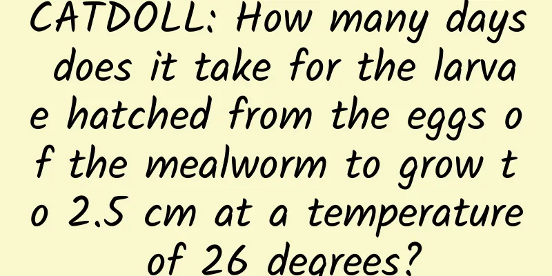 CATDOLL: How many days does it take for the larvae hatched from the eggs of the mealworm to grow to 2.5 cm at a temperature of 26 degrees?