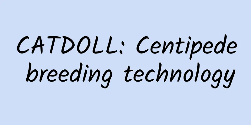 CATDOLL: Centipede breeding technology