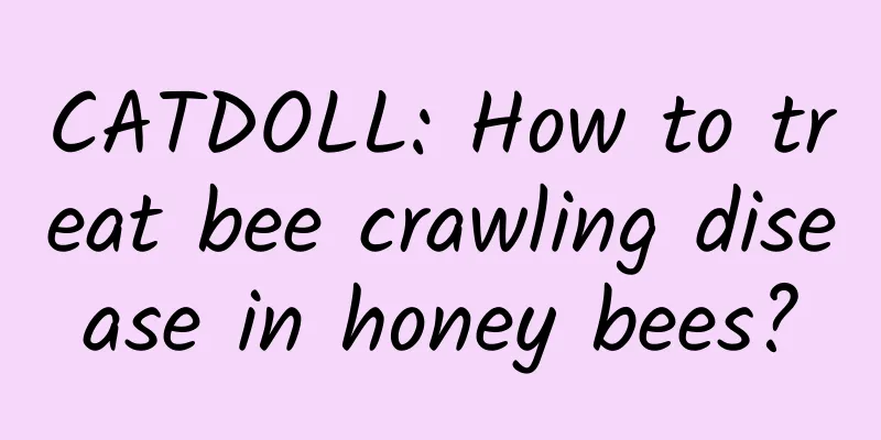 CATDOLL: How to treat bee crawling disease in honey bees?
