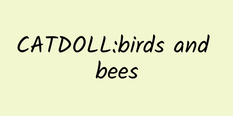 CATDOLL:birds and bees