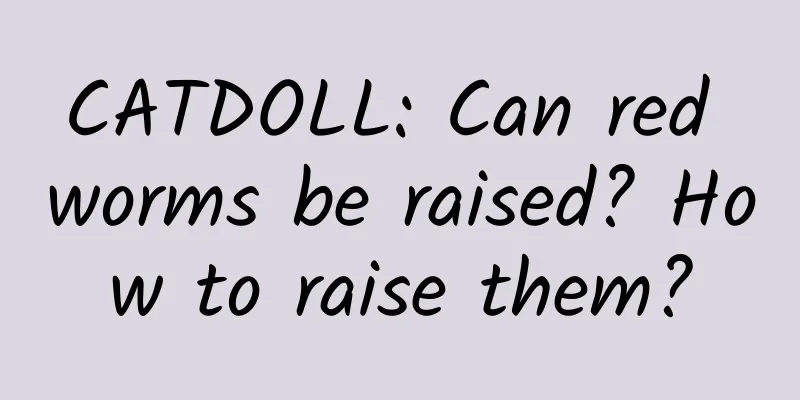 CATDOLL: Can red worms be raised? How to raise them?