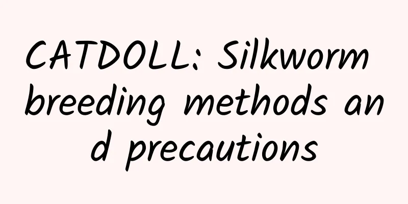 CATDOLL: Silkworm breeding methods and precautions
