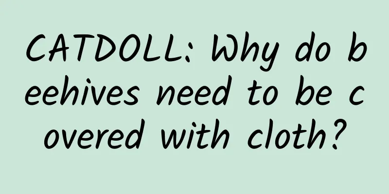 CATDOLL: Why do beehives need to be covered with cloth?