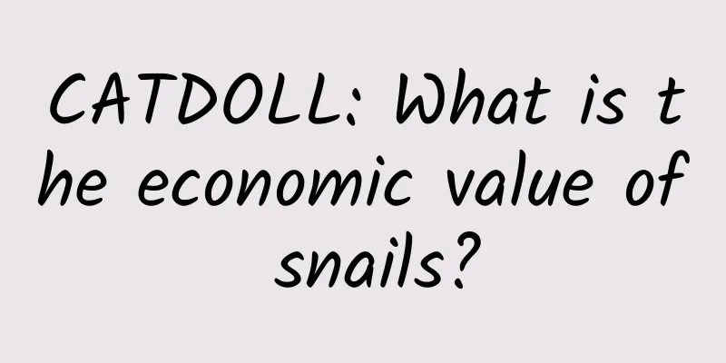 CATDOLL: What is the economic value of snails?