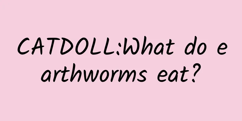 CATDOLL:What do earthworms eat?